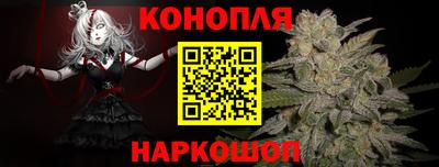 прущие крисы Аргун