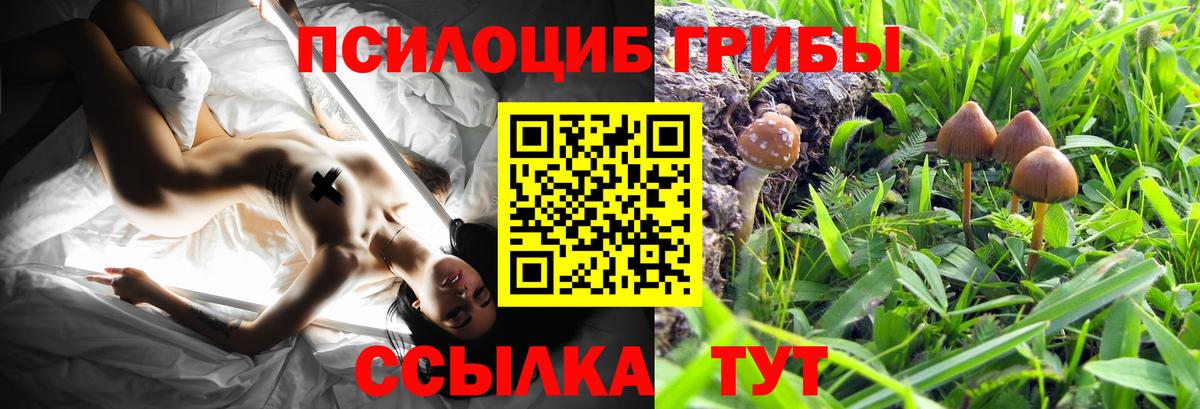 Псилоцибиновые грибы прущие грибы  Псилоцибиновые грибы MAGIC MUSHROOMS  Вход с VPN  Батайск 